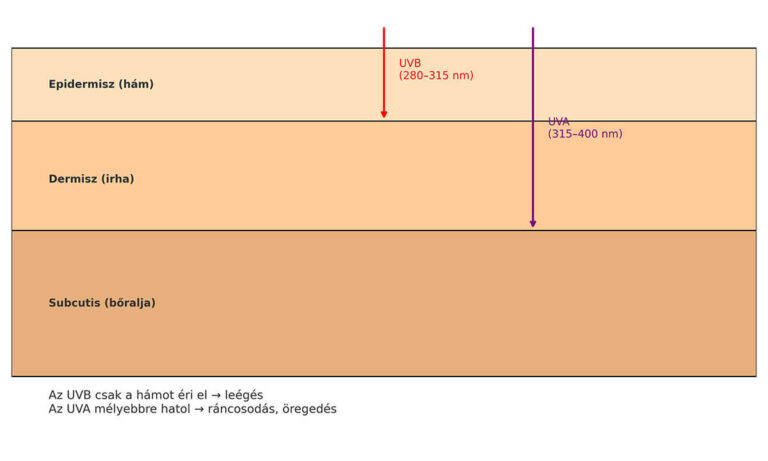 UVB vs UVA e-mesekozmetika